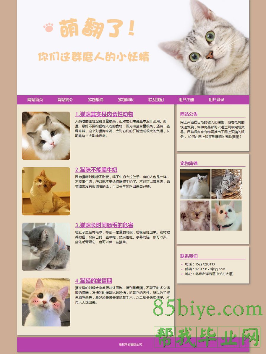 php宠物猫动态网页设计作业成品